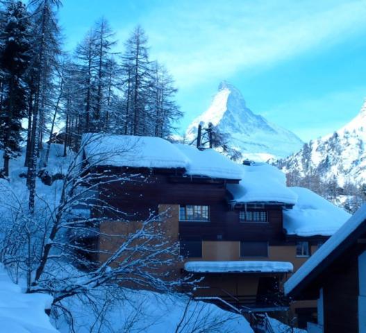 Studio Central Et Chaleureux 1 Zermatt Eksteriør billede